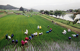 「創造」学習の風景