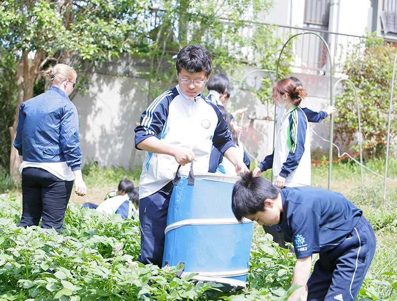 アグリラボでの農作業体験