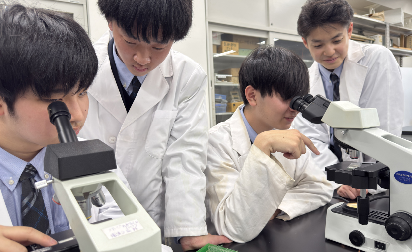 自然科学部