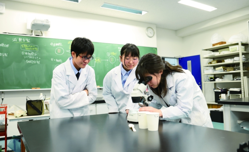 自然科学部