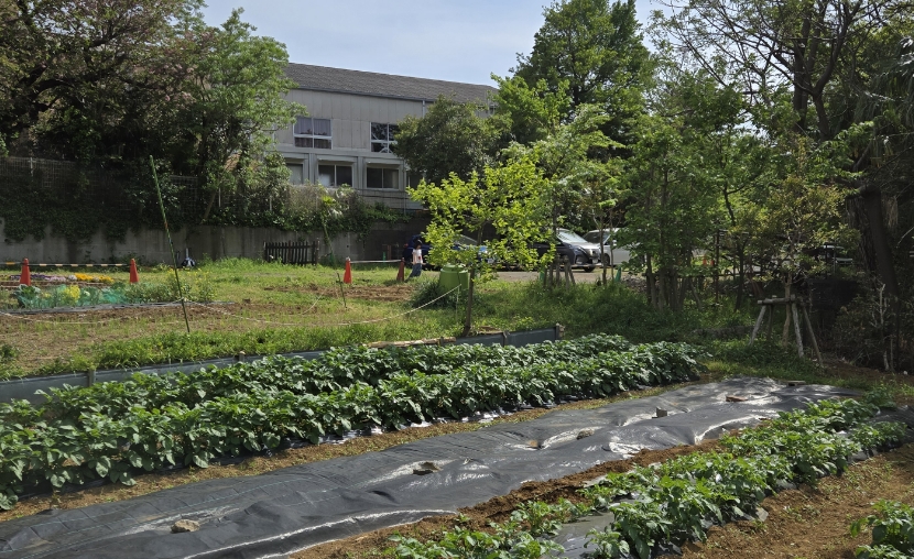 学苑農場