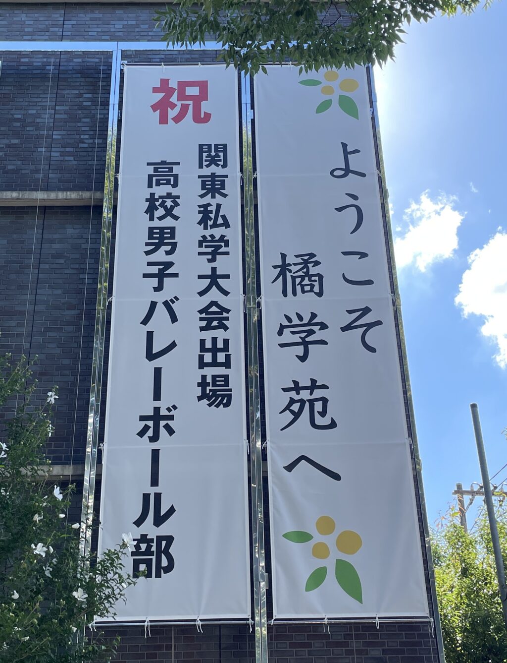 懸垂幕