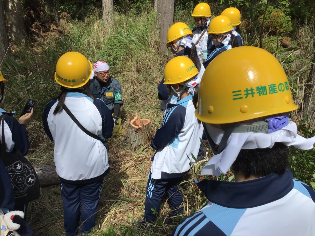 亀山山林見学・間伐された杉と山師。長さ1６メートルの杉材が倒されたところ