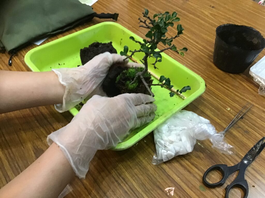 栄養たっぷりの土をつけています