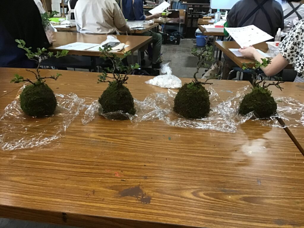 同じ長寿梅でも作風が異なります