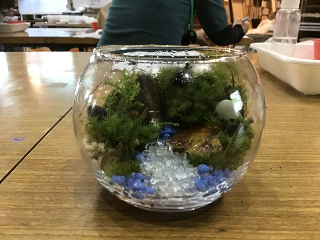 テラリウムの作品