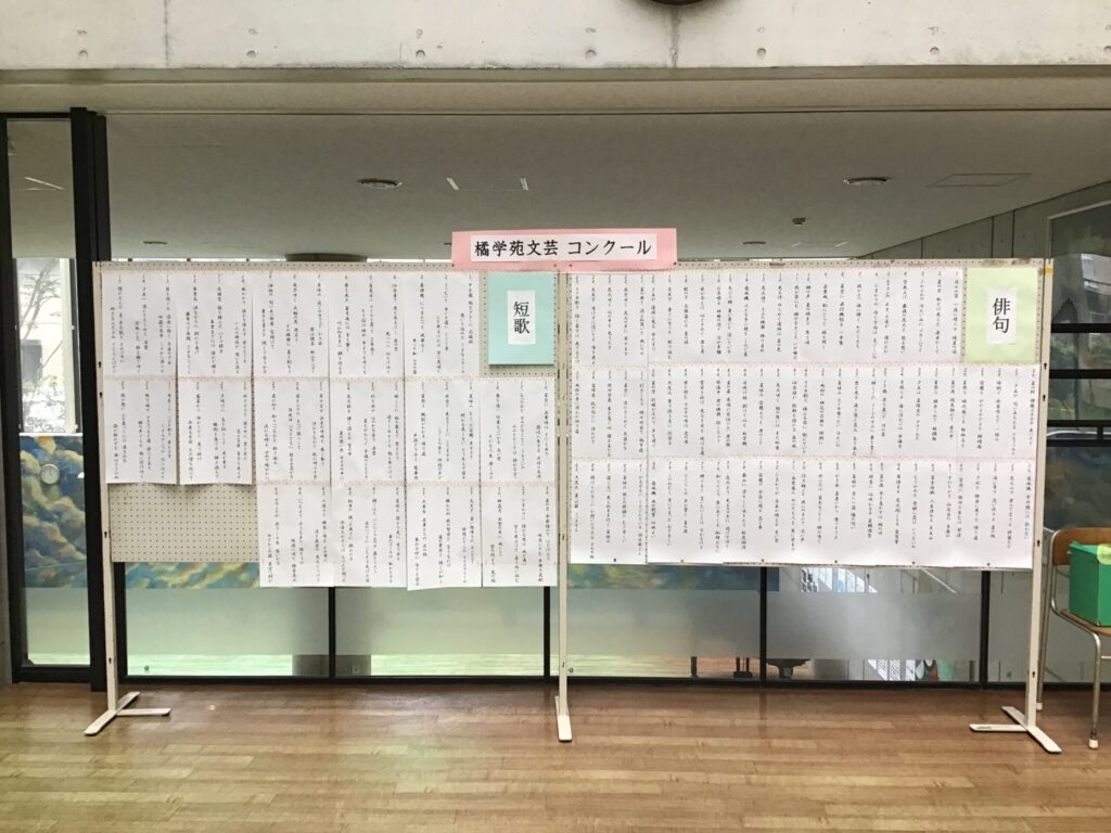 展示の様子